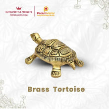 Brass Tortoise