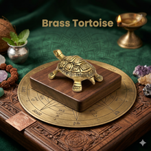 Brass Tortoise
